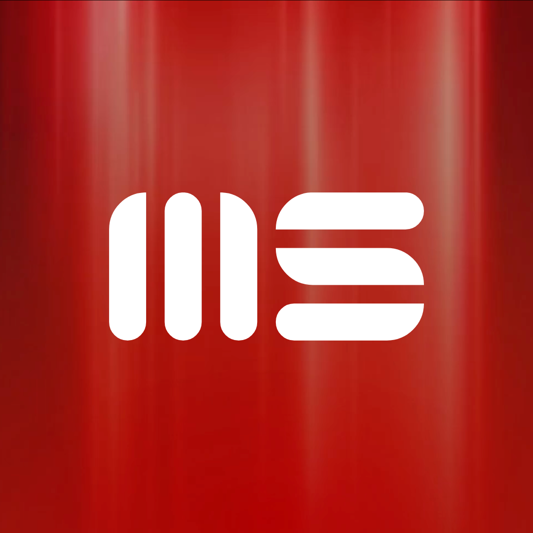 MakeSure Logo